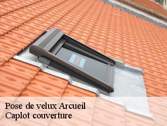 Pose de velux  arcueil-94110 Caplot couverture