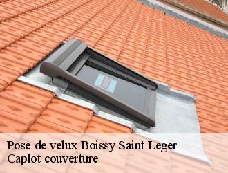 Pose de velux  boissy-saint-leger-94470 Caplot couverture