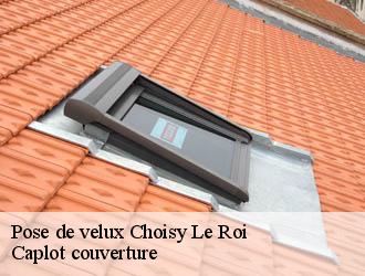 Pose de velux  choisy-le-roi-94600 Caplot couverture