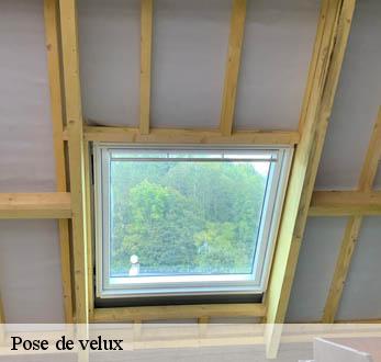 Pose de velux