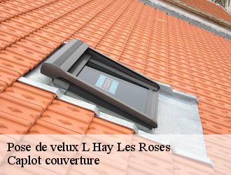 Pose de velux  l-hay-les-roses-94240 Caplot couverture