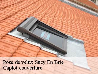 Pose de velux  sucy-en-brie-94370 Caplot couverture