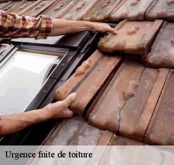 Urgence fuite de toiture