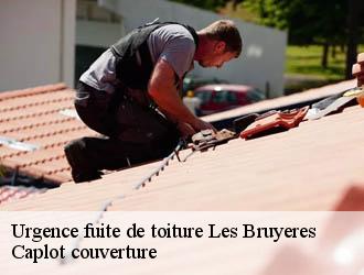 Urgence fuite de toiture  les-bruyeres-94370 Caplot couverture