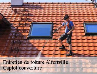 Entretien de toiture  alfortville-94140 Caplot couverture