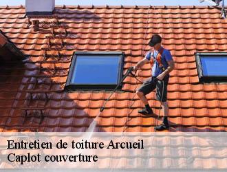 Entretien de toiture  arcueil-94110 Caplot couverture