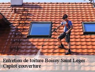 Entretien de toiture  boissy-saint-leger-94470 Caplot couverture