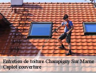 Entretien de toiture  champigny-sur-marne-94500 Caplot couverture