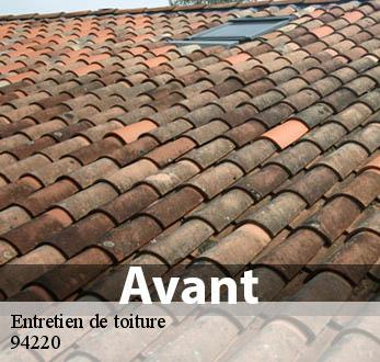 Entretien de toiture  94220