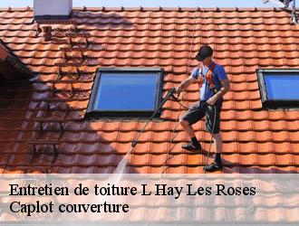 Entretien de toiture  l-hay-les-roses-94240 Caplot couverture