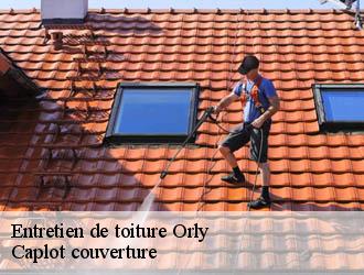 Entretien de toiture  orly-94310 Caplot couverture