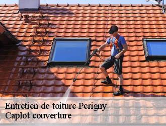 Entretien de toiture  perigny-94520 Caplot couverture