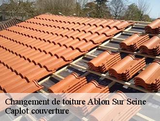 Changement de toiture  ablon-sur-seine-94480 Caplot couverture