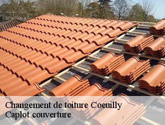 Changement de toiture  coeuilly-94500 Caplot couverture